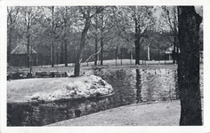 12071 Gezicht op de vijver in Ouwehands Dierenpark aan de Grebbeweg te Rhenen.